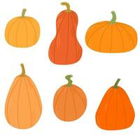 conjunto de calabazas calabaza de diferente formas y colores. acción de gracias diseño. otoño calabaza vector