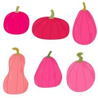 Set of pink pumpkins. Pumpkin of different shapes and colors. Thanksgiving design. Autumn pumpkin vector