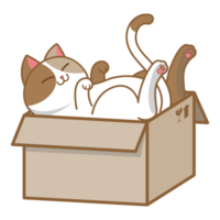 Cartoon chubby cat sleeping in cardbox png