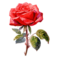 Beautiful Flower Clipart - Generative Ai png