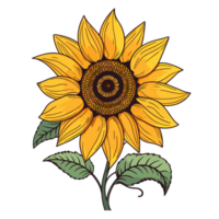 mooi bloem clip art - generatief ai png