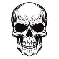 Beautiful Skull Silhouette - Generative Ai png