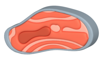 3D illustration, thick slices of raw salmon of fresh sashimi or trout sashimi png