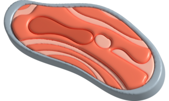 3d illustration, tjock skivor av rå lax av färsk sashimi eller öring sashimi png