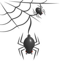 3d illustration. Halloween spiders and cobwebs. png