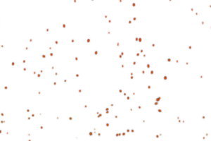 Burning orange sparks rise from fire ,Fire Particles png