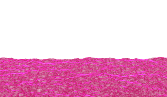 3D abstract digital technology realistic water wave river pink light particles png