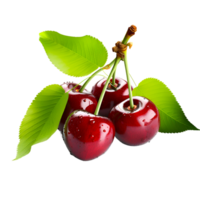 four fresh cherries PNG