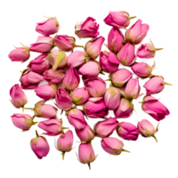 roze houding bloemen PNG