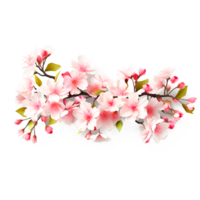 pink flower in bunch PNG