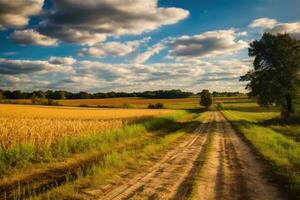 Summer landscape at sunset. Farm, agricultural fields, countryside, country road. Generative AI photo