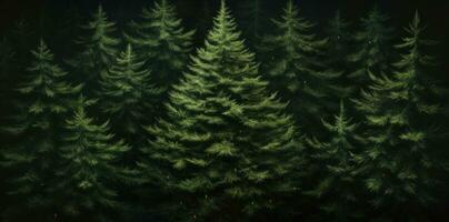 Green fir background photo