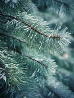 AI Generative White fluffy snow on the pine branches Macro Winter forest scene Green branches in the snow landscape Sunny day in the coniferous forest photo