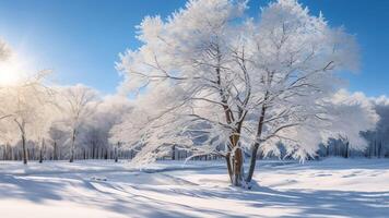 AI Generative Winter forest in the snow landscape The sun shines through the branches of the trees Snowcovered trees against a clear blue sky Frosty day in a birch grove Russia Siberia Suburb of photo