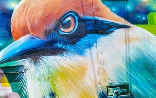 Puerto Escondido Oaxaca Mexico 2023 Wall with graffiti art drawings paintings bird nature animal Mexico. photo