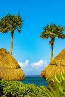 palapa tejado de paja techos palmas sombrillas Dom tumbonas playa recurso México. foto