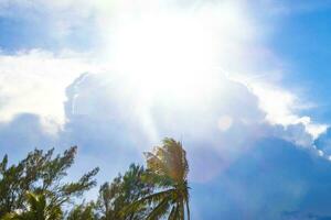 hermosa vistoso puesta de sol con nubes y palma arboles en México. foto