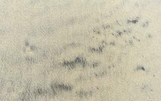 Wet beach sand water and waves texture and pattern in Mexico. photo