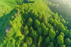 aéreo ver de verde campo. ai generativo foto