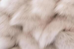 Soft Fur Texture. photo