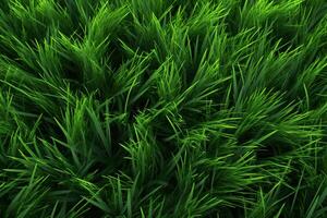 Grass Texture. Ai generative photo