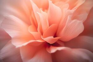 Beautiful Flowers Wallpaper. photo