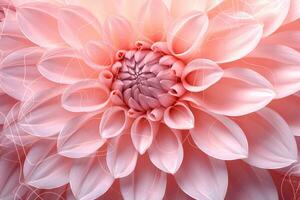 Aesthetic Flower Wallpaper. Ai generative photo