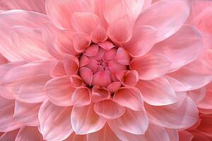 Aesthetic Flower Wallpaper. Ai generative photo