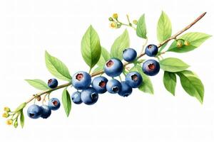 Fresh Blueberry Fruits. Ai generative photo