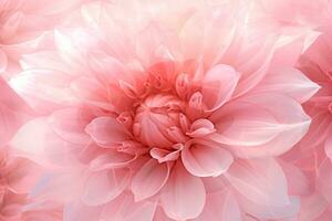 Aesthetic Flower Wallpaper. Ai generative photo