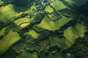 aéreo ver de paisaje. ai generativo foto