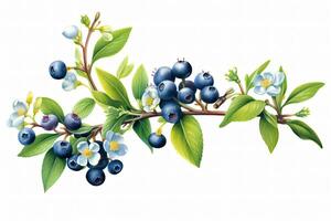 Fresh Blueberry Fruits. Ai generative photo