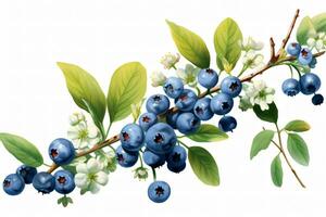 Fresh Blueberry Fruits. Ai generative photo