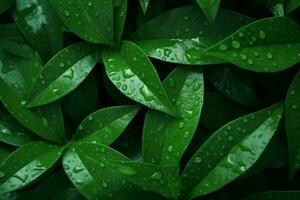 Green Leaves. Ai generative photo