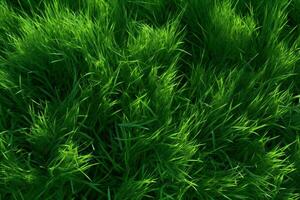 Grass Texture. Ai generative photo