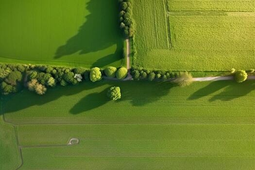 Aerial View Of Green Field. Ai generative photo