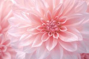 Aesthetic Flower Wallpaper. Ai generative photo