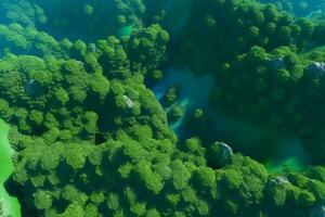 Aerial View Of Green Field. Ai generative photo