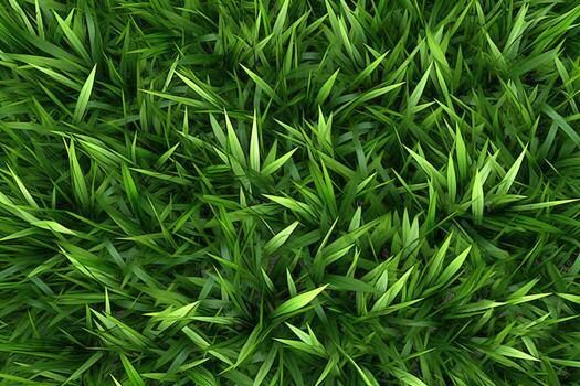 Grass Texture. Ai generative photo