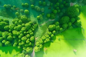 Aerial View Of Green Field. Ai generative photo