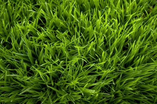 Grass Texture. Ai generative photo