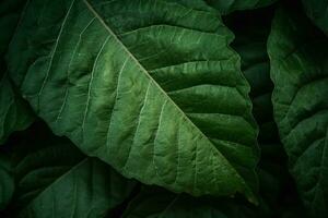 verde hojas antecedentes. ai generativo foto