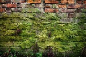 Mossy Bricks Wall Background. Ai generative photo