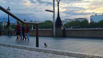 skön låg vinkel antal fot av turist människor är gående längs väg av London öga på westminster central London stad av England bra Storbritannien, antal fot var fångad på aug 02:a, 2023 under solnedgång. video