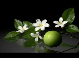 A branch of an orange or tangerine tree with fruits and flowers, isolated on a white background. Created with Generative AI technology. photo