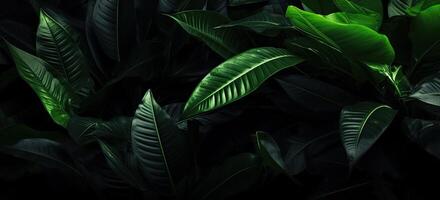 Closeup green leaves background, Overlay fresh leaf pattern, Natural foliage textured and background. Created with Generative AI technology. photo