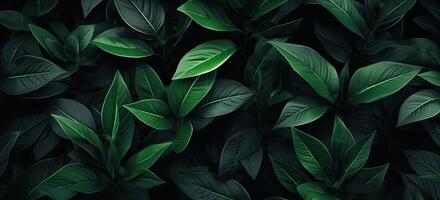 Closeup green leaves background, Overlay fresh leaf pattern, Natural foliage textured and background. Created with Generative AI technology. photo
