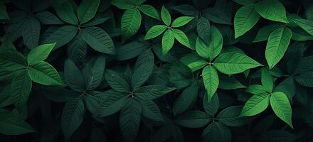 Closeup green leaves background, Overlay fresh leaf pattern, Natural foliage textured and background. Created with Generative AI technology. photo