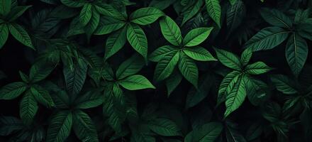 Closeup green leaves background, Overlay fresh leaf pattern, Natural foliage textured and background. Created with Generative AI technology. photo
