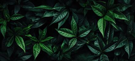 Closeup green leaves background, Overlay fresh leaf pattern, Natural foliage textured and background. Created with Generative AI technology. photo